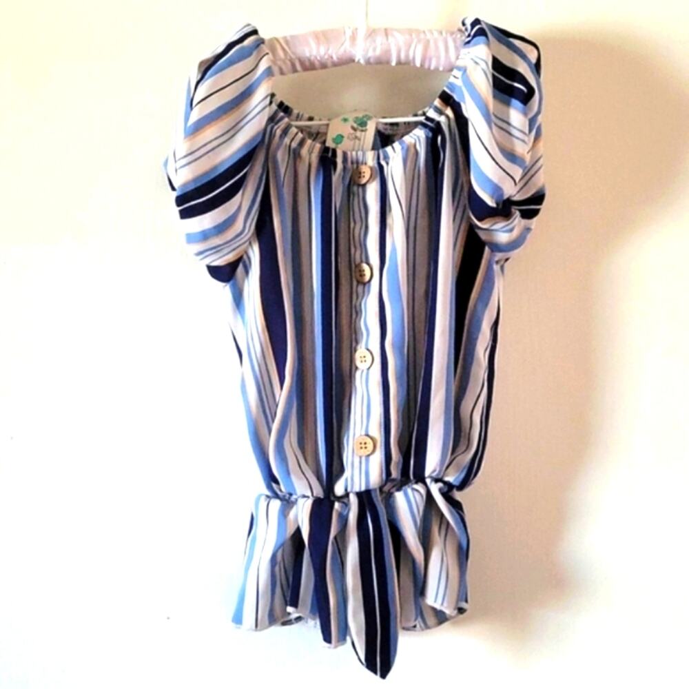 Blue striped Top